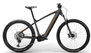 CORRATEC E-Power X Vert Pro Gent