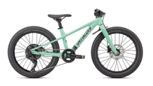 SPECIALIZED 2022 RIPROCK 20 GLOSS OASIS / BLACK