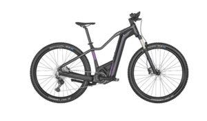 BERGAMONT E-REVOX PREMIUM EXPERT FMN